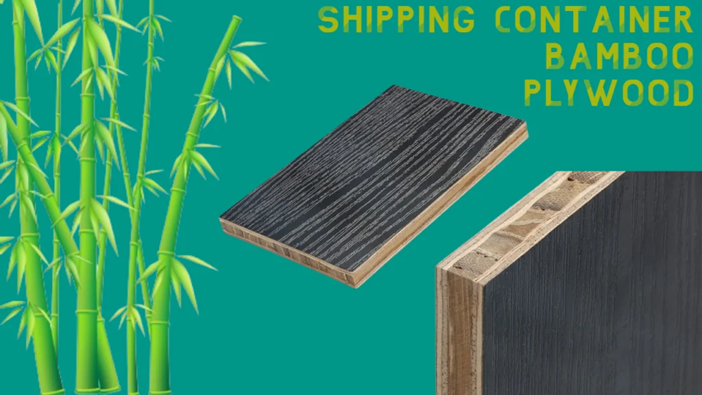 Shipping Container Bamboo Plywood